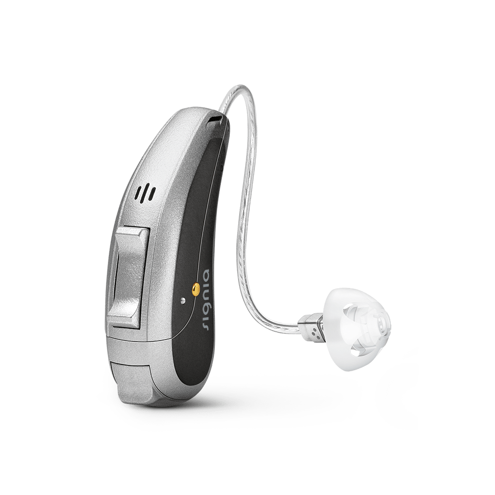 Styletto IX hearing aids