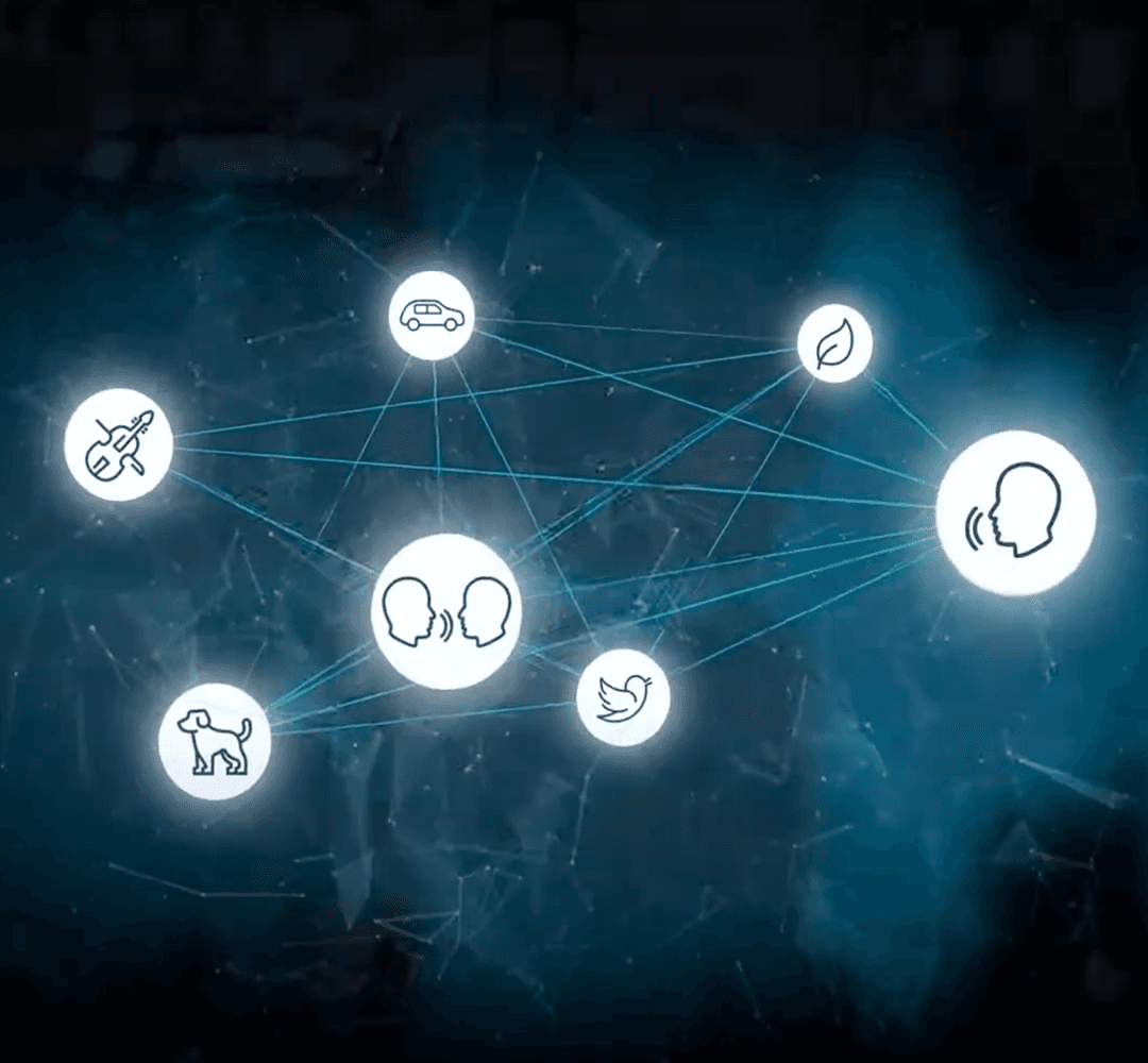 Oticon Zircon Styles